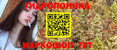 гашиш Будённовск