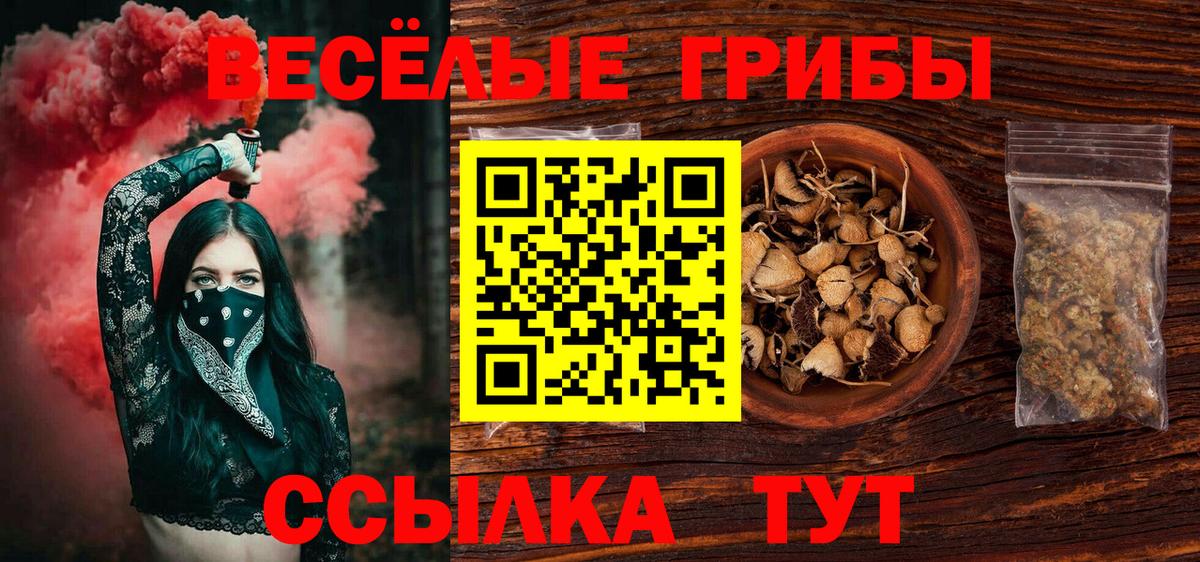 Псилоцибиновые грибы GOLDEN TEACHER Заинск