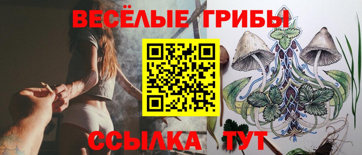 Галлюциногенные грибы Magic Shrooms  Вход с VPN  Заинск  Галлюциногенные грибы Psilocybine cubensis 